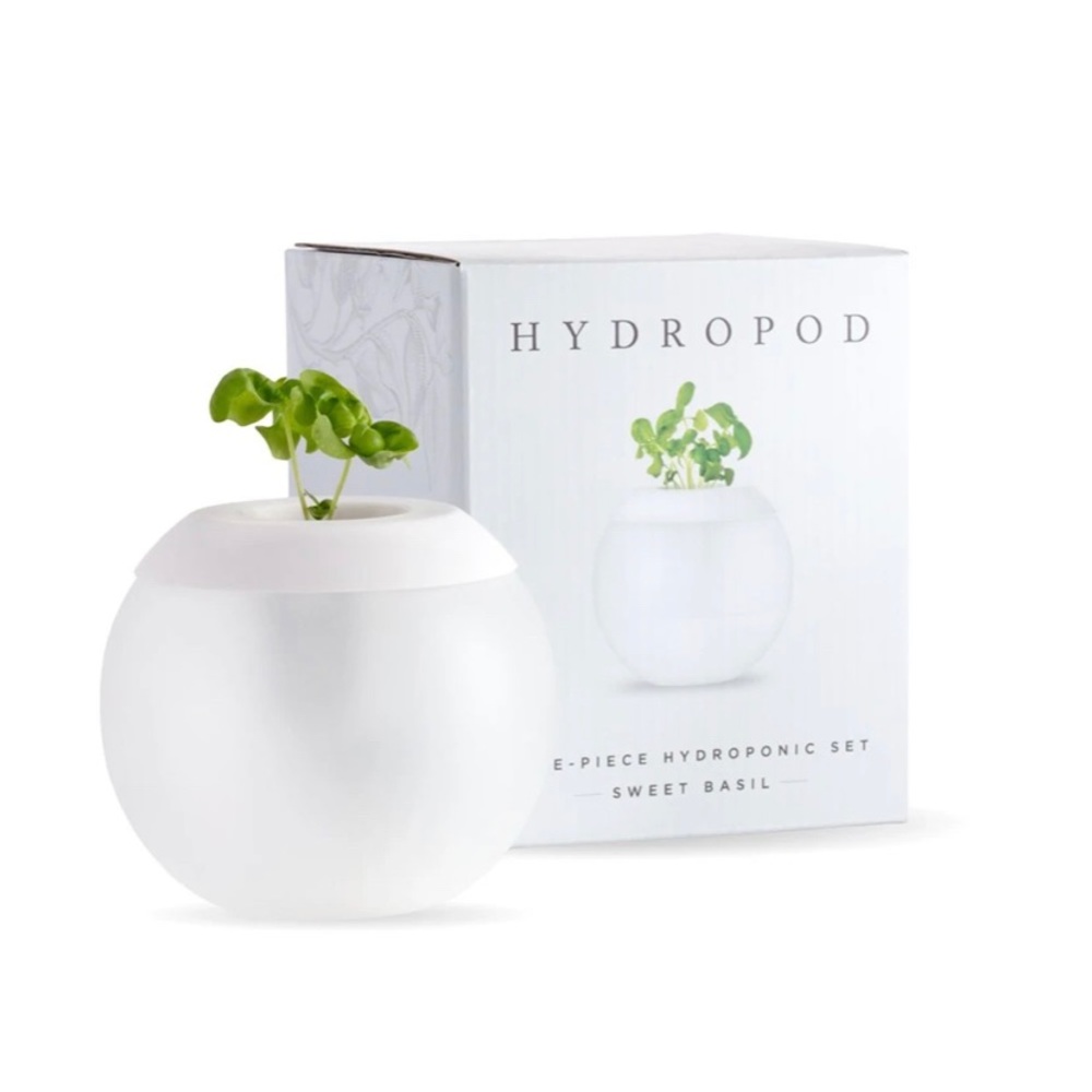 BNIB SWEET BASIL 🌿 PLANTER